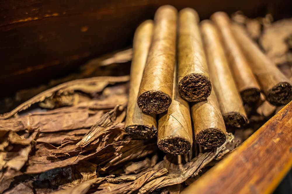 Hand-rolled cigars resting on cured tobacco leaves